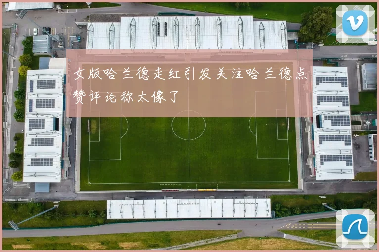 女版哈兰德走红引发关注哈兰德点赞评论称太像了