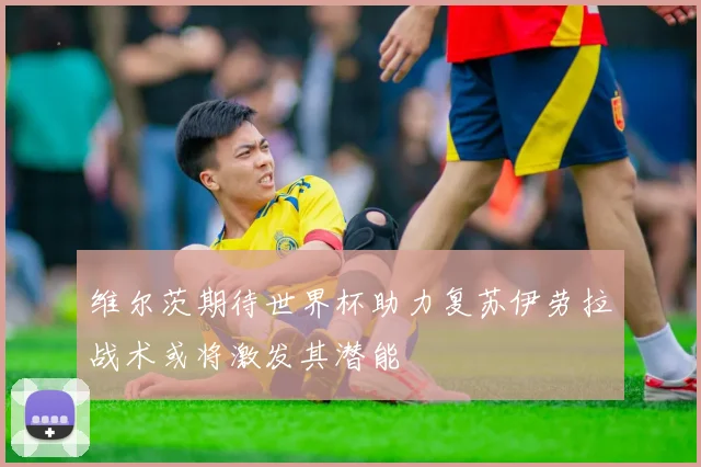 维尔茨期待世界杯助力复苏伊劳拉战术或将激发其潜能